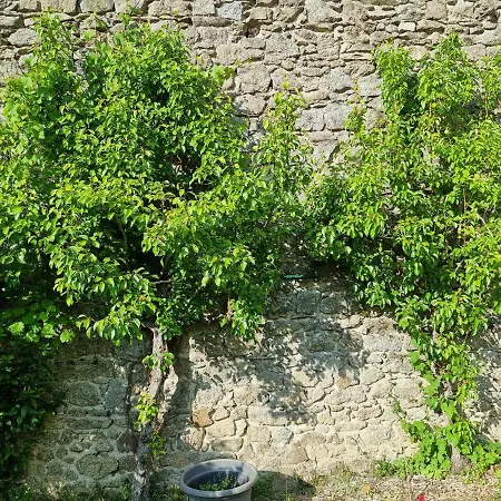 L'atrium Bed & Breakfast *